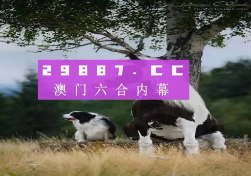 辦公設(shè)備租賃服務(wù) 第224頁(yè)