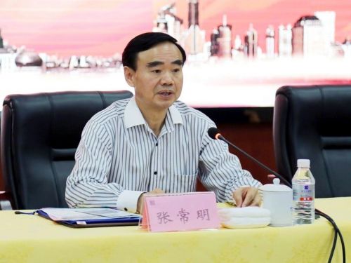 揭秘張常明最新消息，小巷中的隱藏瑰寶