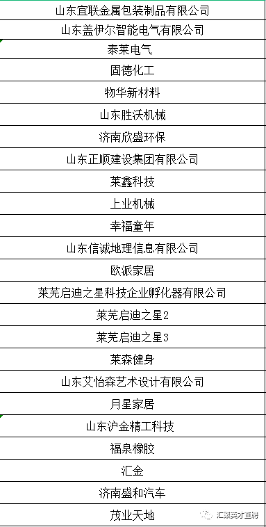萊蕪金點(diǎn)子招聘，引領(lǐng)科技潮流，打造智能未來生活招聘新體驗(yàn)