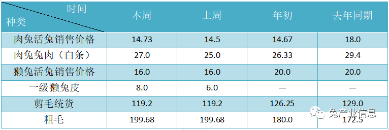 獺兔價(jià)格最新行情揭秘，溫情故事在兔子洞展開
