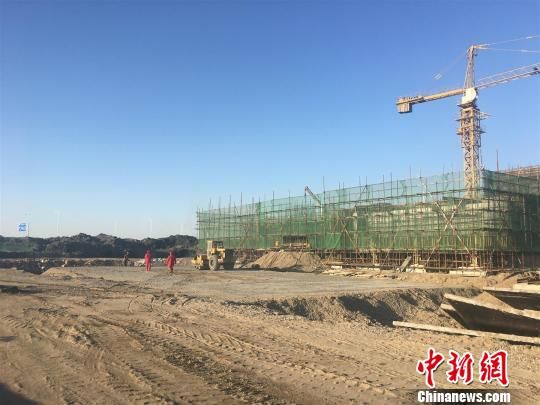 唐山豐南港最新動態(tài)，港口邊的溫情故事