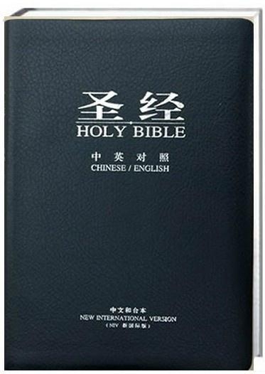 圣經最新版本，科技與信仰的交融之作