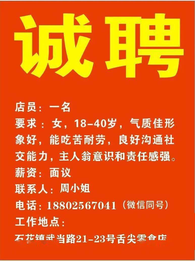金正陽最新招聘信息發(fā)布，職位空缺及申請(qǐng)指南